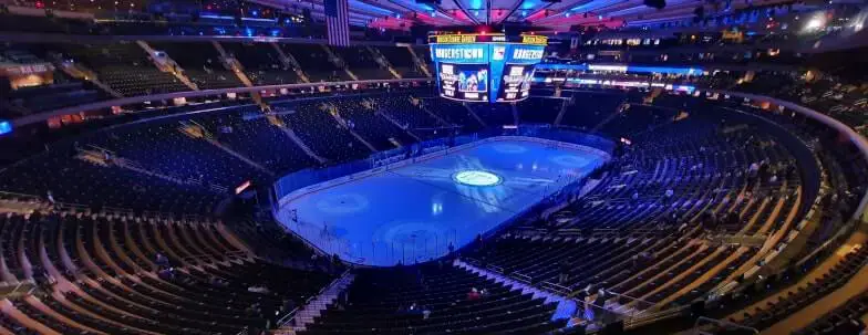 What Are the Different Levels of Professional Hockey? | Stickhandling PRO